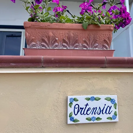 Il Profumo Dei Fiori Apartmán *