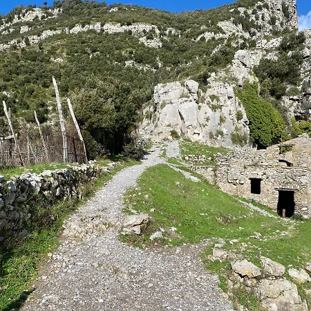 Il Profumo Dei Fiori