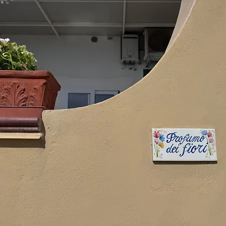 Il Profumo Dei Fiori